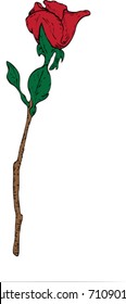 Vector illustration of a single red rose