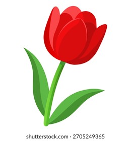 Vector Illustration of single Red Tulip isolated on white background. Gift for Birthday, Valentine's day, Mother's Day, Women's Day, Wedding	