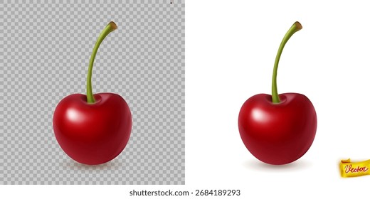 Vector illustration of single ripe red cherry isolated on transparent background. Perfect for healthy food projects, summer desserts, organic branding and fruit desig
