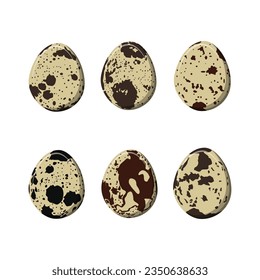 Vector illustration single and set of quail eggs in different forms raw, crack, boiled and fried in cartoon flat style. Organic farm product. Cooking ingredient. Isolated on white background.