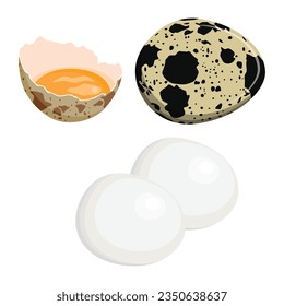 Vector illustration single and set of quail eggs in different forms raw, crack, boiled and fried in cartoon flat style. Organic farm product. Cooking ingredient. Isolated on white background.