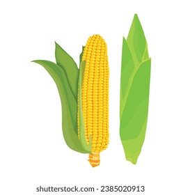 Vector illustration single and set of yellow corn in cartoon flat style. Cute corncob maize sign icon. Organic food, vegetables agriculture product. Restaurant menu concept