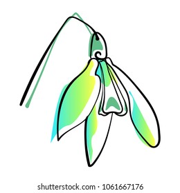 Vector illustration of single snowdrop flower (Galanthus sp.)