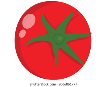 Vector illustration of single tomato, ripe and red tomato