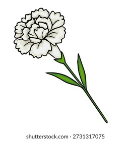 Vektorgrafik einer einzelnen weißen Nelkenblume mit grünem Stängel und Blättern