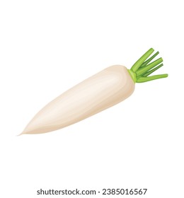 Vector illustration single white daikon radish with green stem leaf in cartoon flat style. Horseradish rhizome plant isolated on white background for icon, logo, or packing illustration.