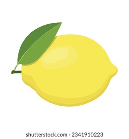 Vector illustration of single yellow lemon in cartoon style. Lime fruit with leaf hanging in branch.  Whole parts of lemon orange image. Elements citrus image for logo, icon, clipart etc.