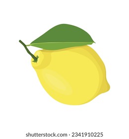 Vector illustration of single yellow lemon in cartoon style. Lime fruit with leaf hanging in branch.  Whole parts of lemon orange image. Elements citrus image for logo, icon, clipart etc.