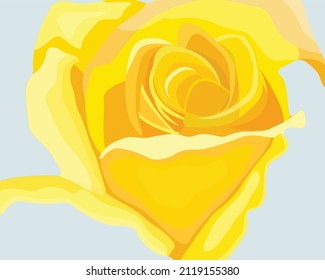 Vector illustration of single yellow rose with leaves, extreme close yellow rose bloom on grey illustration background