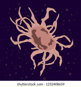 Vector illustration of single-celled eukaryote Acritarcha, Protozoa