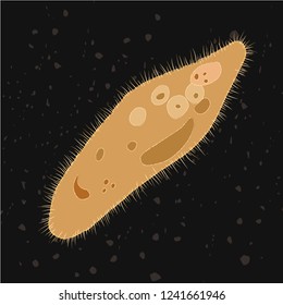 Vector illustration of single-celled eukaryote Ciliophora, Protozoa