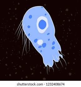 Vector illustration of single-celled eukaryote Percolozoa, Protozoa