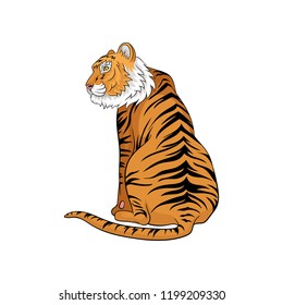 Vector illustration of sitting Bengal tiger isolated on white background. Large cat with orange fur and black stripes. Wild animal