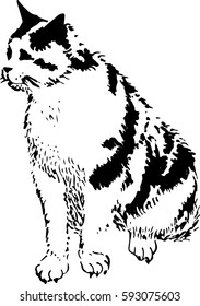 Vector illustration of sitting cat. Limited color graphic - black and white. Hand drawing. Good for all type of printing.