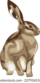 Vector illustration of sitting hare.
Hare vector graphic on transparent background. Illustrations of sitting hare in vector.
Animal illustrations in vector.