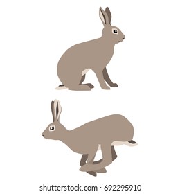 Vector illustration of sitting and jumping hares isolated on white background