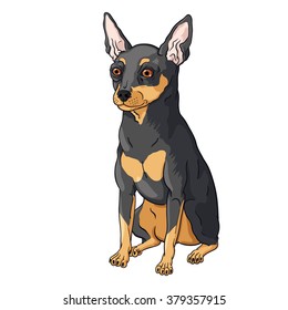 Vector illustration of sitting prague ratter.