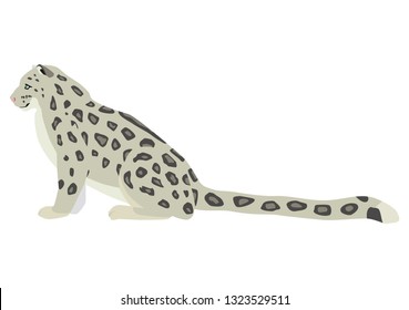 Vector illustration of sitting snow leopard isolated on white background. 8 EPS