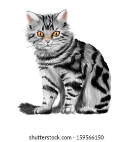 Vector illustration of sitting tabby kitten