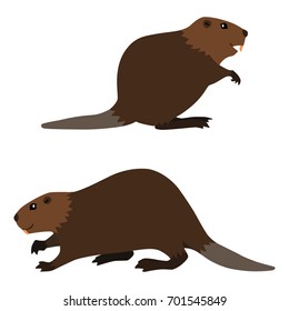 Vector illustration of sitting and walking beavers isolated on white background