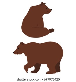 Vector illustration of sitting and walking brown bears isolated on white background