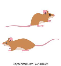 Vector illustration of sitting and walking mice isolated on white background