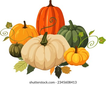 Vector illustration of six big and small colorful cartoon style pumpkins with leaves on white background. 