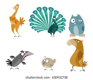 Vector illustration of a six birds set