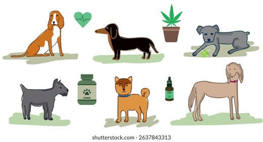 Vector illustration of six dog breeds with dog vitamins, cannabis plant, cannabidiol (CBD) drops, and heart cardiogram symbol for pet health and wellness concept.