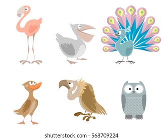 Vector illustration of a six funny birds