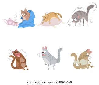 Vector illustration of six funny cats on the white background