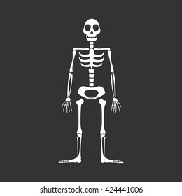 Skeleton Human Anatomy Vector Halloween Black Stock Vector (Royalty ...
