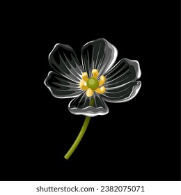 Vector illustration, Skeleton flower, or Diphylleia grayi, also called transparent flower, on a dark background.