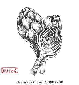Vector illustration sketch artichoke. Vegetable hand drawn card.