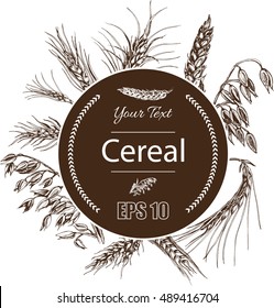 Vector illustration sketch - autumn.
Vector hand drawn cereal crops sketches.