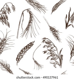 Vector illustration sketch - autumn. hand drawn cereal crops sketches.