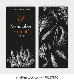 Vector illustration sketch - autumn. hand drawn cereal crops sketches.