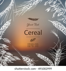 Vector illustration sketch - autumn.
Vector hand drawn cereal crops sketches.