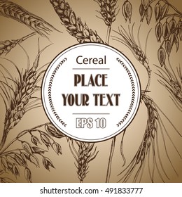 Vector illustration sketch - autumn.
Vector hand drawn cereal crops sketches.