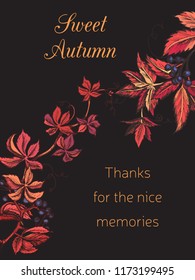 Vector illustration sketch autumn. Autumn postcard garden branches of grapes, viburnum, plum, ashberry. Greeting card for Thanksgiving.