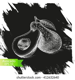 Vector illustration sketch avocado.