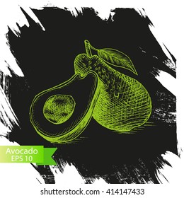 Vector illustration sketch avocado.
Illustration of vegetable.