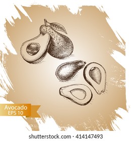 Vector illustration sketch avocado.
Illustration of vegetable.