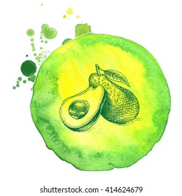 Vector illustration sketch avocado.
Illustration of vegetable.