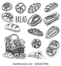 Vector illustration sketch bread, loaf, baguette. Pattern bakery house with fresh pastry.