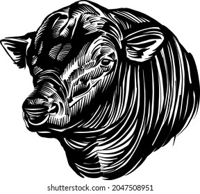 the vector illustration sketch of the bull head Angus svg