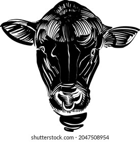 the vector illustration sketch of the bull head Angus