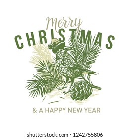 Vector illustration with sketch by hand, with a fir branch, a fir cone and a nutcracker bird