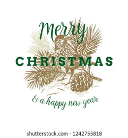 Vector illustration with sketch by hand, with a fir branch, a fir cone and a nutcracker bird