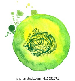 Vector illustration sketch of cabbage.